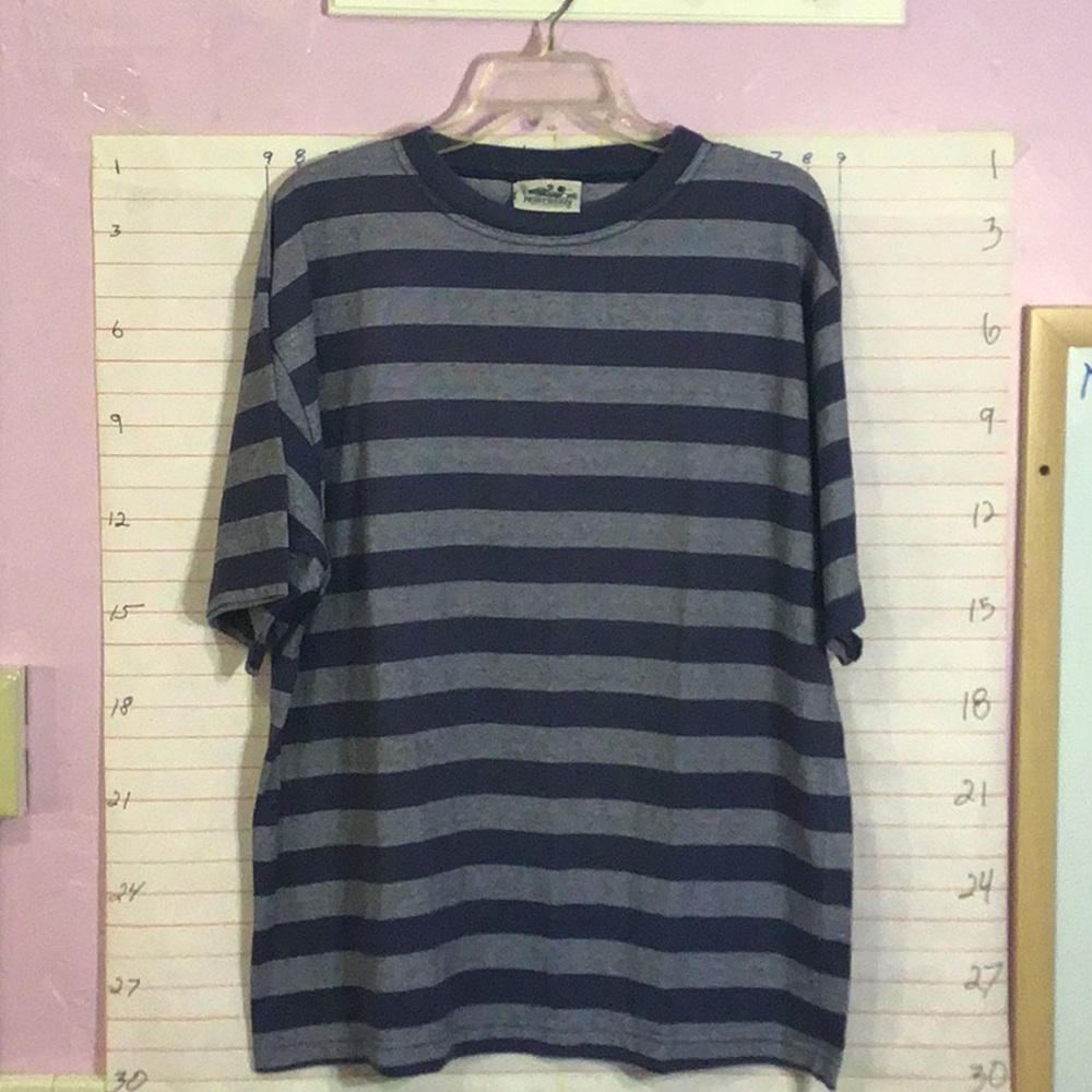 NORTHERN REFLECTIONS men's tee sz L/G blue stripes